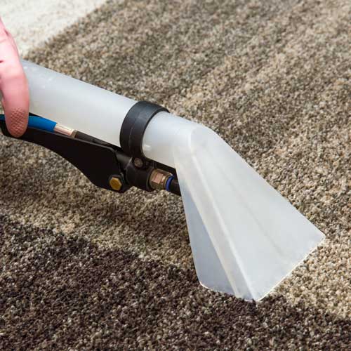 Carpet Cleaning | Tom January Floors