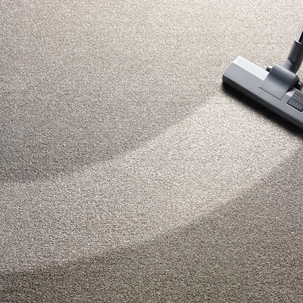 Carpet vacuum | Tom January Floors